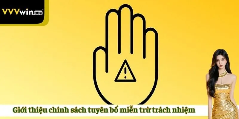 Giới thiệu chính sách tuyên bố miễn trừ trách nhiệm